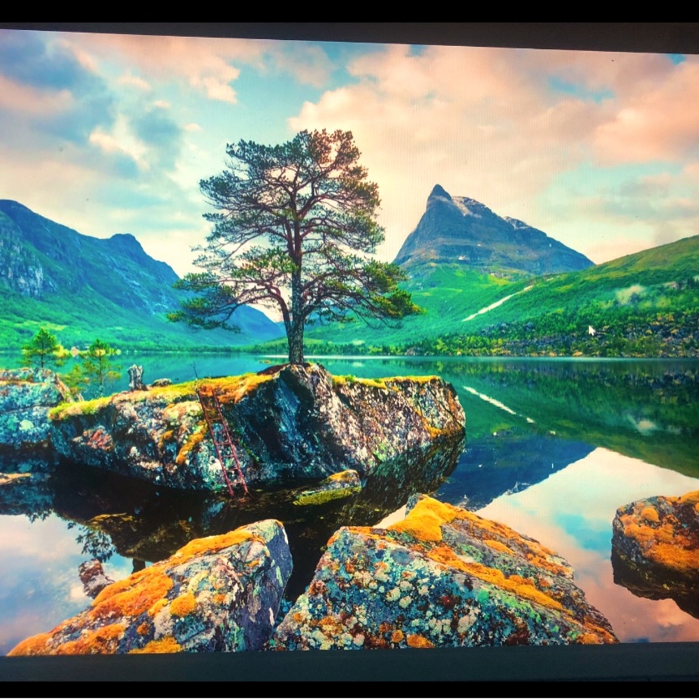 COPY - I am live! Like for live show notification